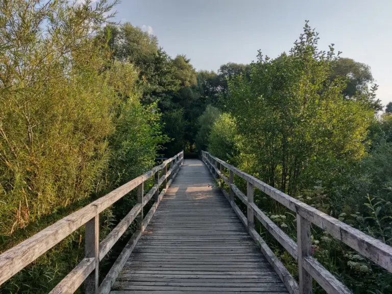 Vergangenes: Wanderung rund um den Dreifelder Weiher am Sonntag, den 08. Oktober 2023