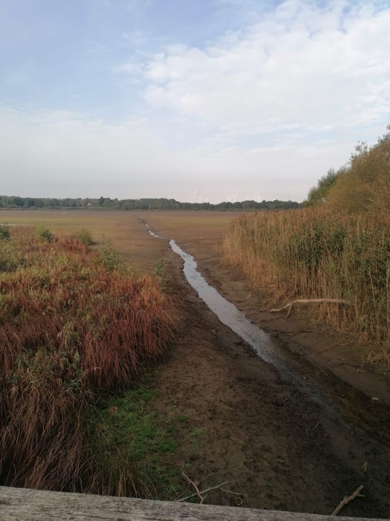 Wanderung rund um den Dreifelder Weiher am Sonntag, den 08. Oktober 2023