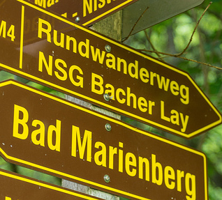 Wanderung durch das Naturschutzgebiet „Bacher Lay“ am Sonntag, den 26. Mai 2024