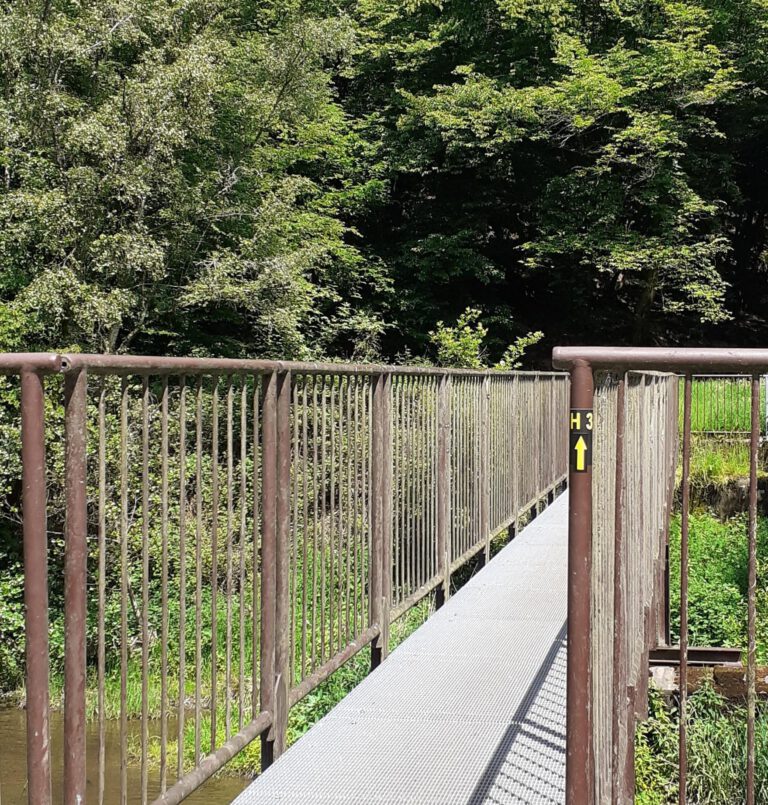 Wanderweg H3 neu ausgezeichnet und freigeschnitten